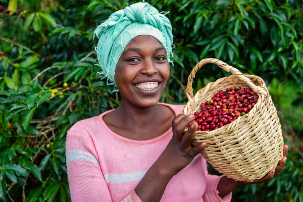 Guatemala Jalapa