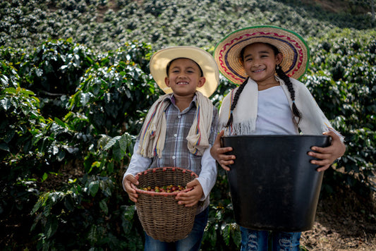 Colombia Sierra Nevada Finca La Esperanza