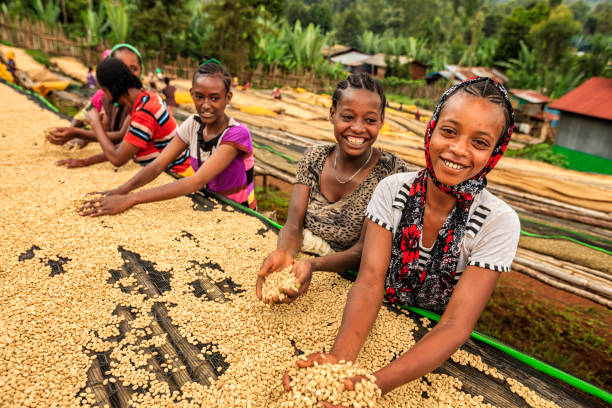 Burundi Kayanza Masha Anaerobic Natural