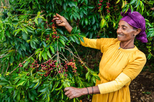 Guatemala Huehuetenango Rolando Sanchez