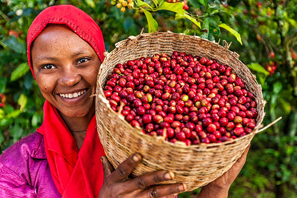 Kenya Nguvu AA